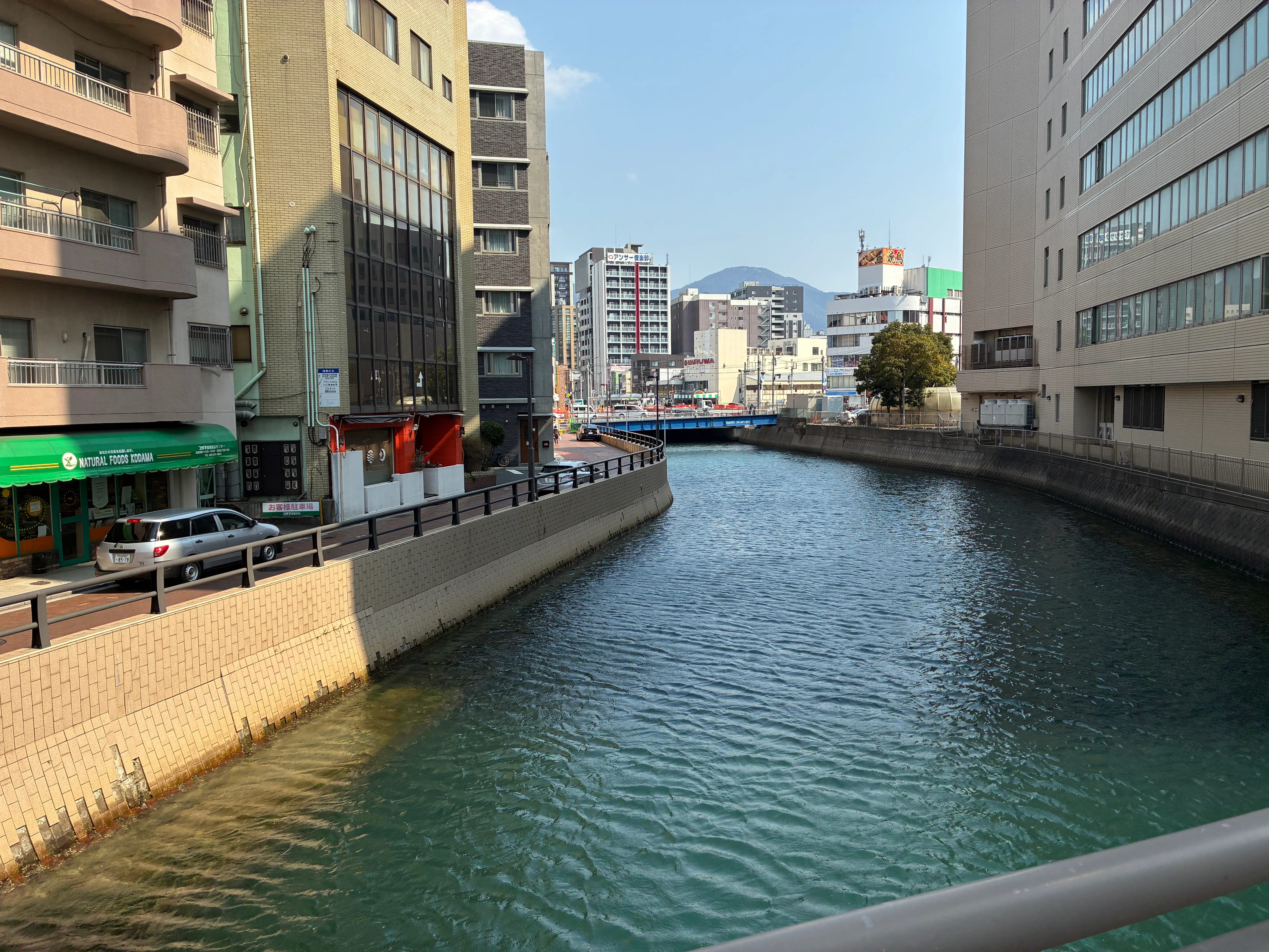 綺麗な河