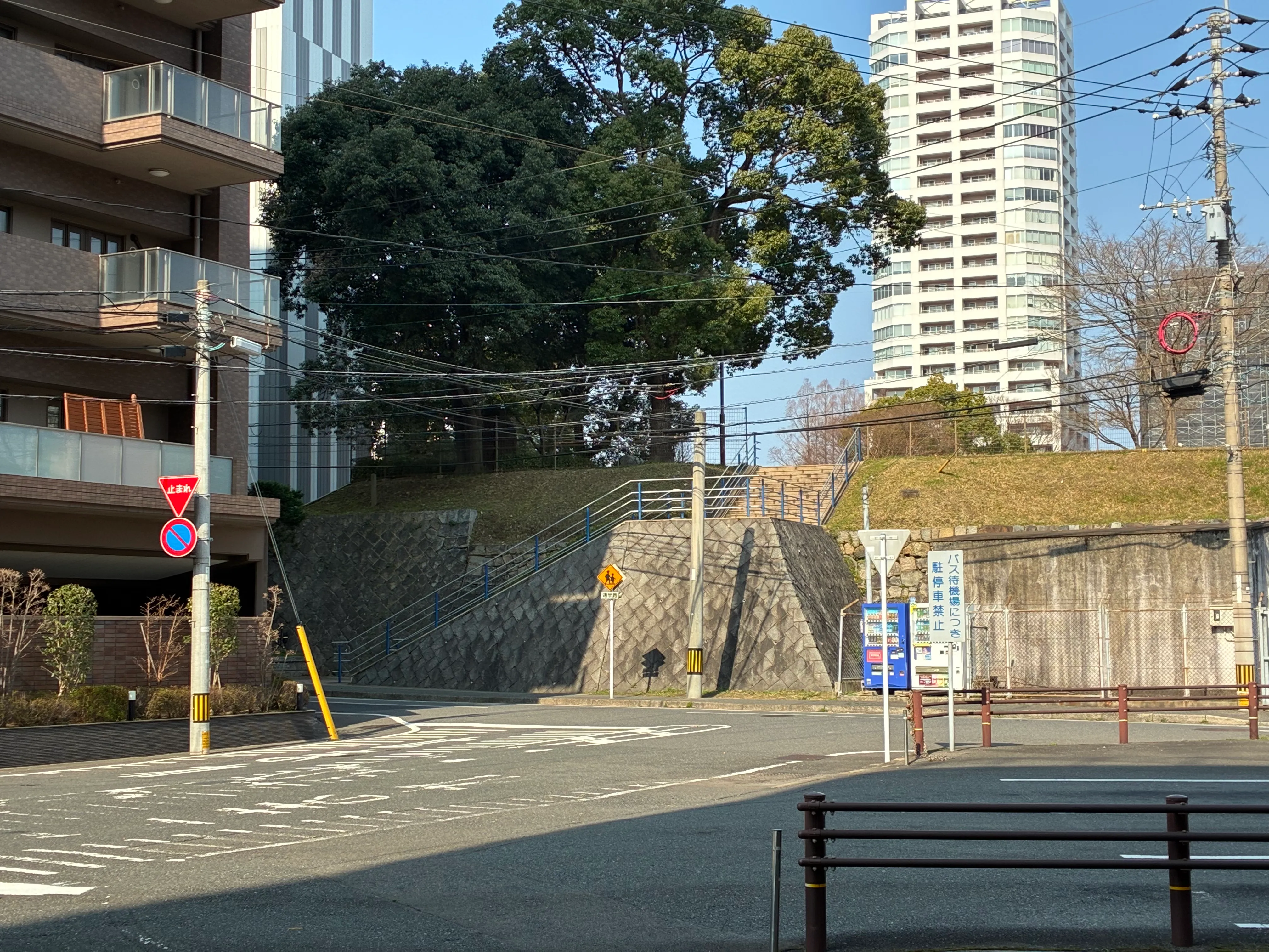 道の景色